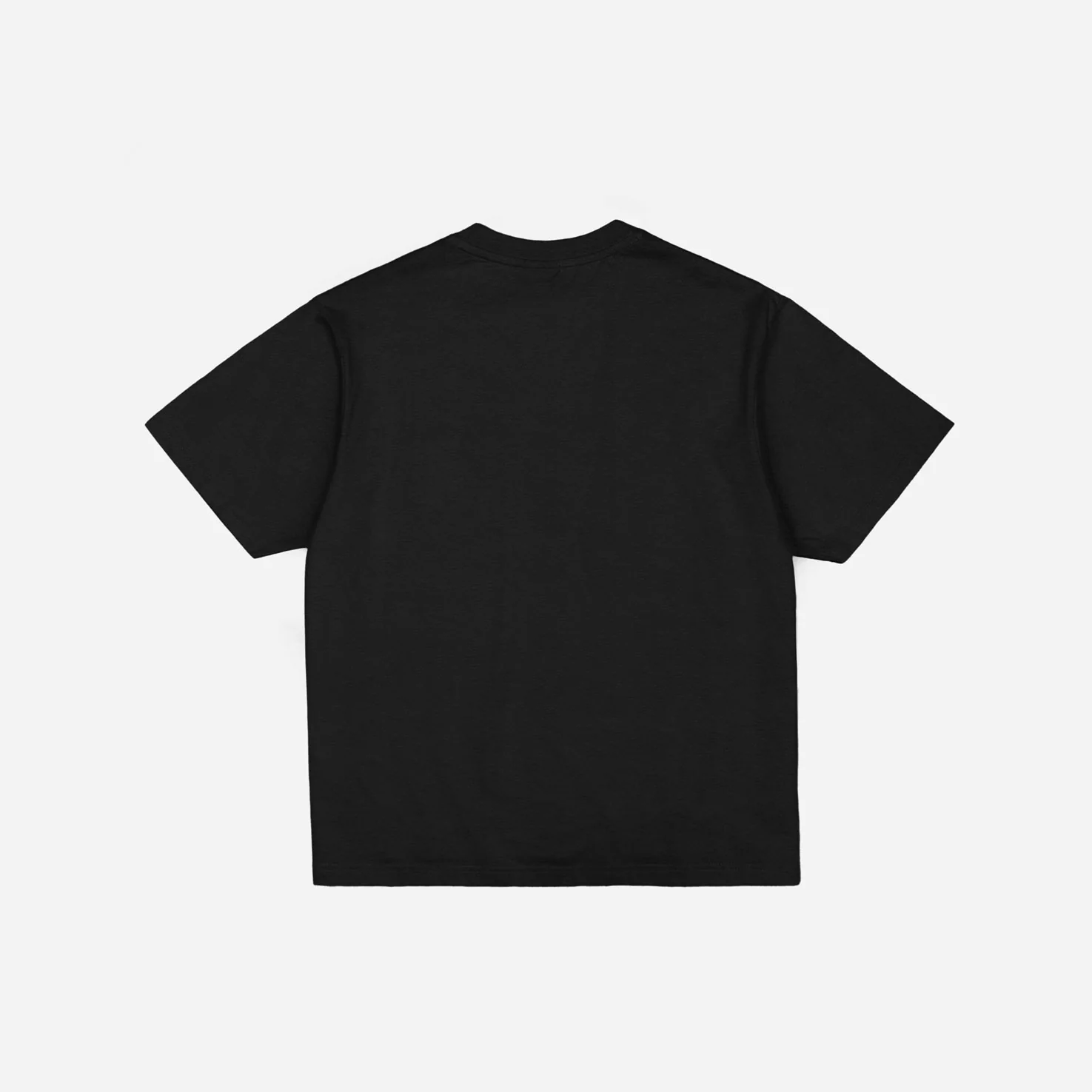 MIRROR MAZE GARMENT DYED CROP T-SHIRT - BLACK - Image 3